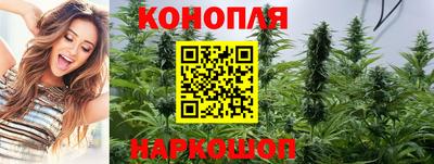 гидропоника Кунгур