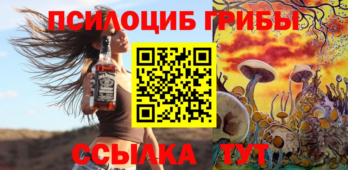 Галлюциногенные грибы прущие грибы Зеленодольск