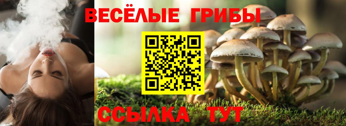Зеленодольск  Псилоцибиновые грибы Magic Shrooms  Вход с VPN 